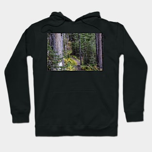 Following the Trail. Hoodie